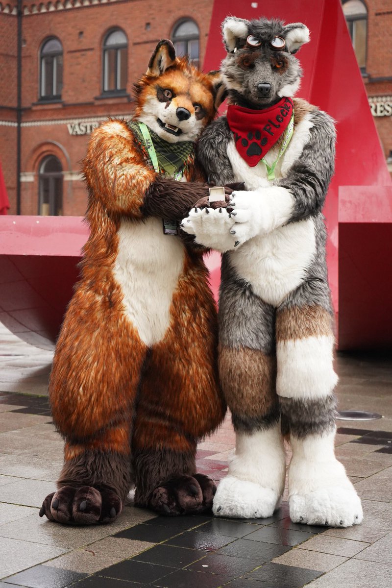 Thank you <a href="/NordicFuzzCon/">NordicFuzzCon</a> for bringing me this wonderful fox 4 years ago. Today he sayed "Yes" and makes me a complete fluff❤️
I also wanted to thank everybody who was with us all over the time and joined us today for this special moment🤗

🦊 <a href="/Ryf_Fox/">Ryf</a> 
#NFC2024 
📸 <a href="/RedNoise2/">RedNoise</a>