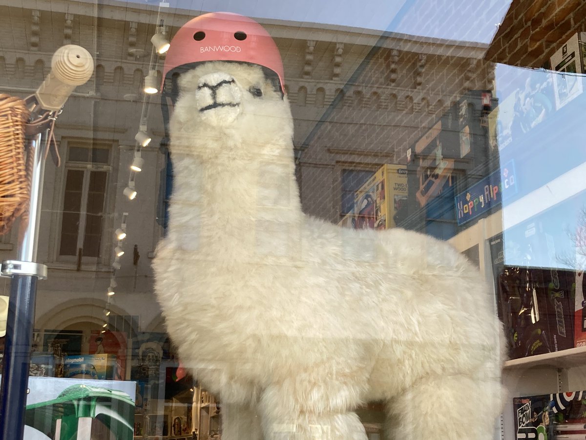 Paula M. Block tweet media