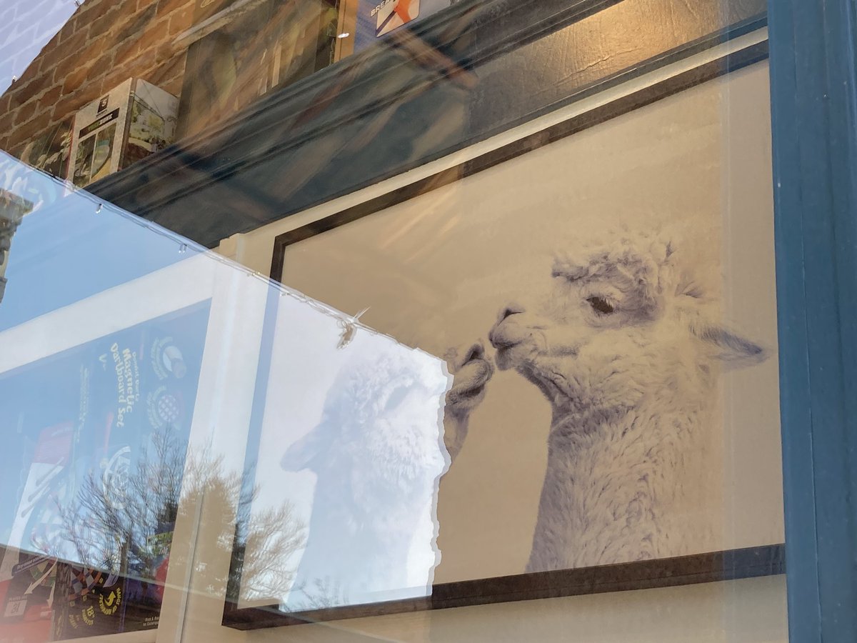 Paula M. Block tweet media