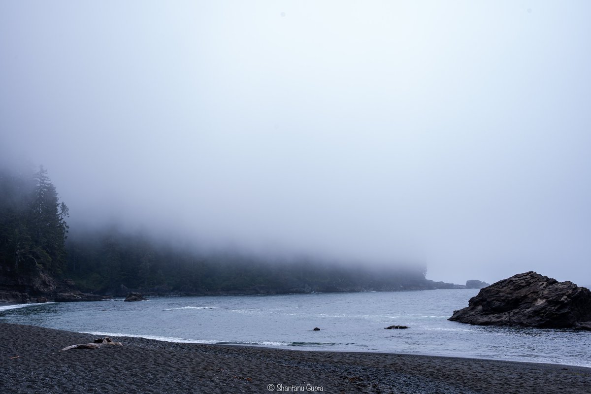 Slow Down 

#sigmacanada #sigma2470art #sonyalpha #sonya7iv #victoriaisland #beautifulbritishcolumbia🇨🇦 #beach #fall #vibe