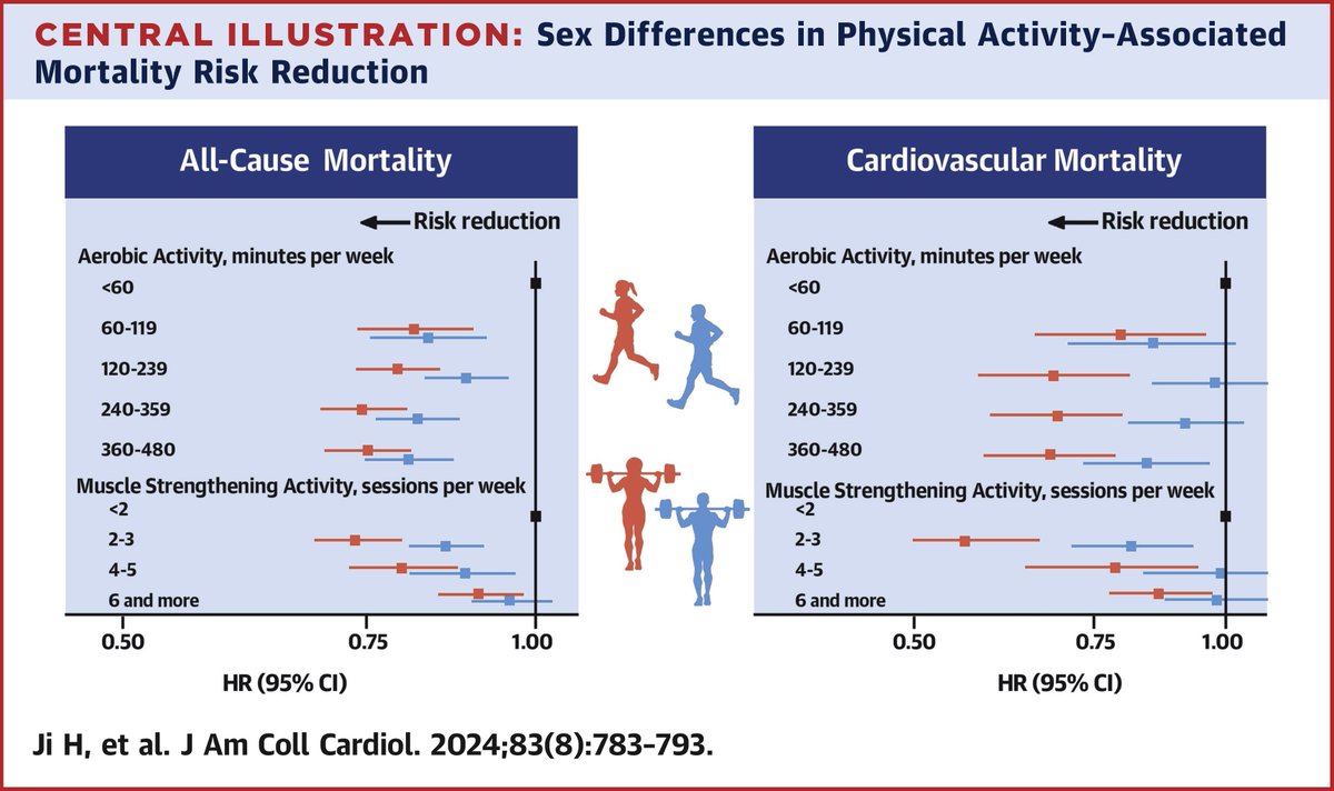 📌Diferencias🚹🚺en asociación entre la actividad física y la mortalidad. 🔹Mortalidad x todas las causas: actividad 🏃regular en tiempo libre vs inactividad👉⬇️24 %🚺y⬇️15 %🚹. 🔸🚹max supervivencia c/ 300 min/sem y🚺140 min/semana. 🔹S/diferencias🚹🚺 p/ muerte CV💔
