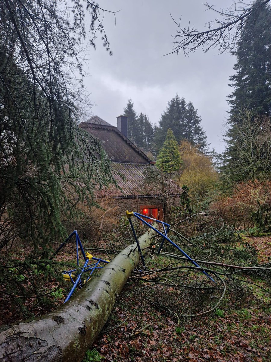 WeylynR's tweet photo. Lekker weertje in de ardennen #storm #stormschade #acul #belgie https://t.co/RDKXwpkhlq