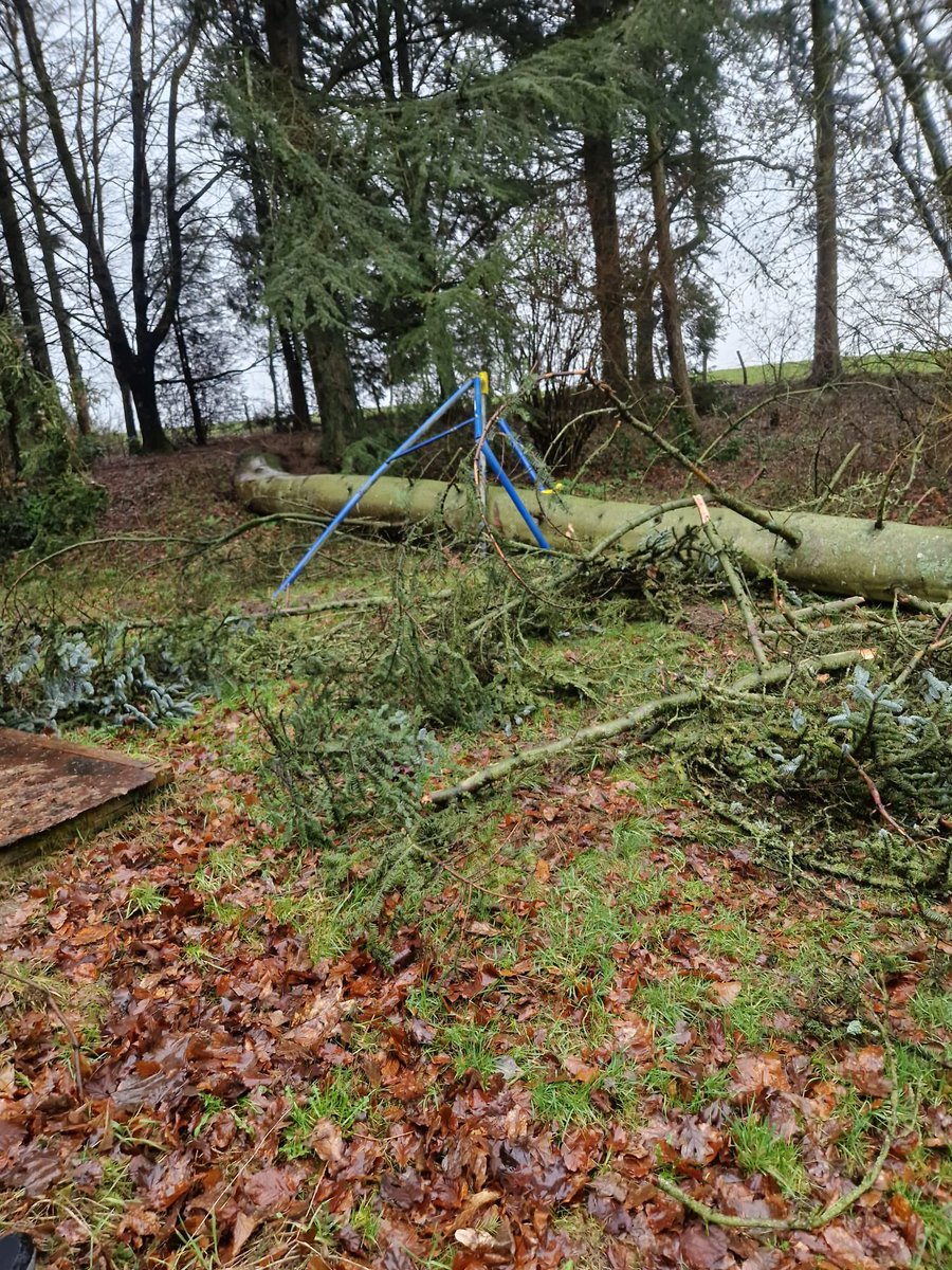 WeylynR's tweet photo. Lekker weertje in de ardennen #storm #stormschade #acul #belgie https://t.co/RDKXwpkhlq
