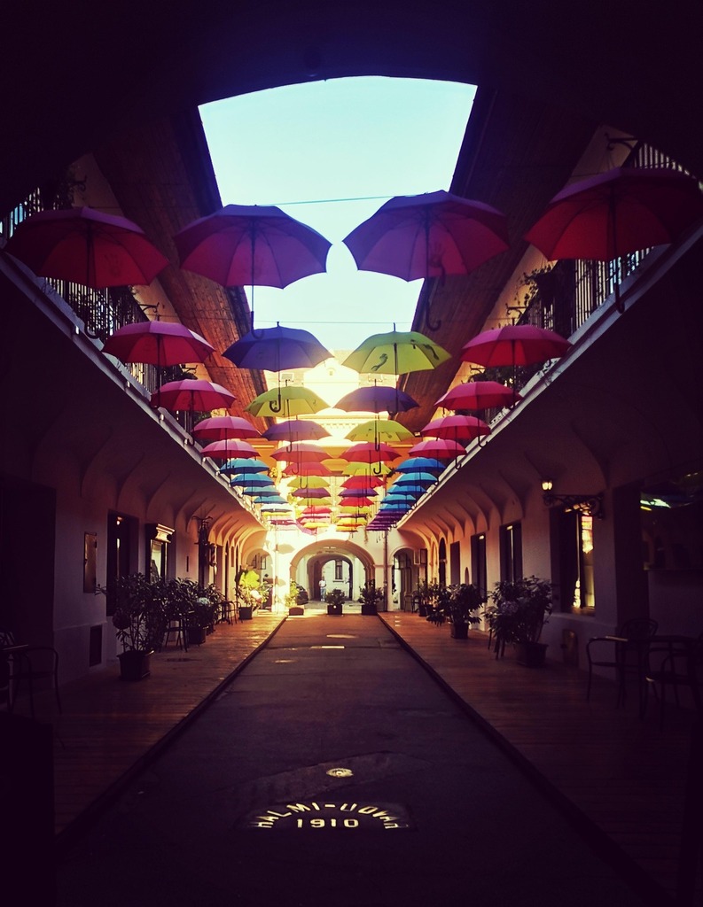 kosicednes's tweet image. Viete, kde sa nachádza toto miesto? 😊

📸 Luci Sko

#kosicednes #kosice instagr.am/p/C3qLcxkhN9g/