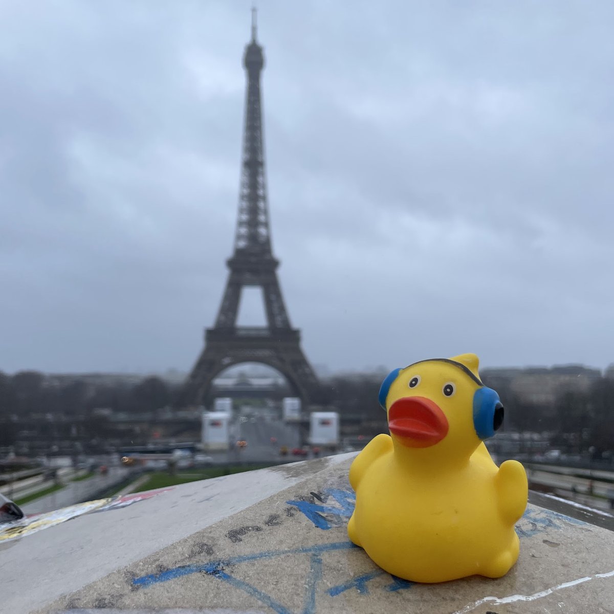 Arrived at <a href="/nft_paris/">NFT Paris</a>  -  Frieda got a new picture.

Often NFTs are mistaken for JPGs. In fact they are tokens representing something or someone, like the #phygital Frieda. 

The image of an NFT is just another piece of MetaData. Don't tell #BAYC 😁

NFT: opensea.io/assets/matic/0…