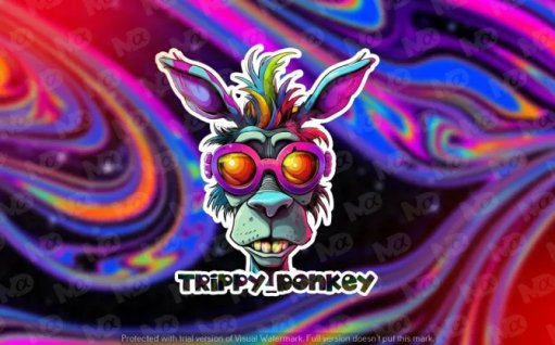 mayamason30923's tweet image. Hey #streamers ! I made this designs for my amazing   Discord client (Trippy_donkey) Stream:twitch.tv/trippy_donkey If you want to upgrade your stream with amazing stuff for your stream So, Come to my DM my commissions are open #SmallStreamersConnect #twitch
@MADAlphaDesigns