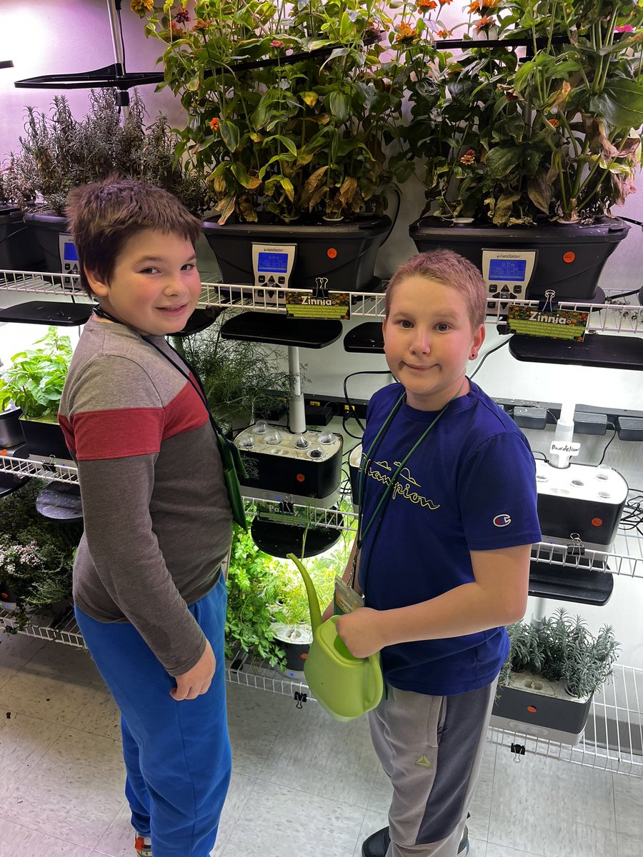 Ms. Mulhern tweet media