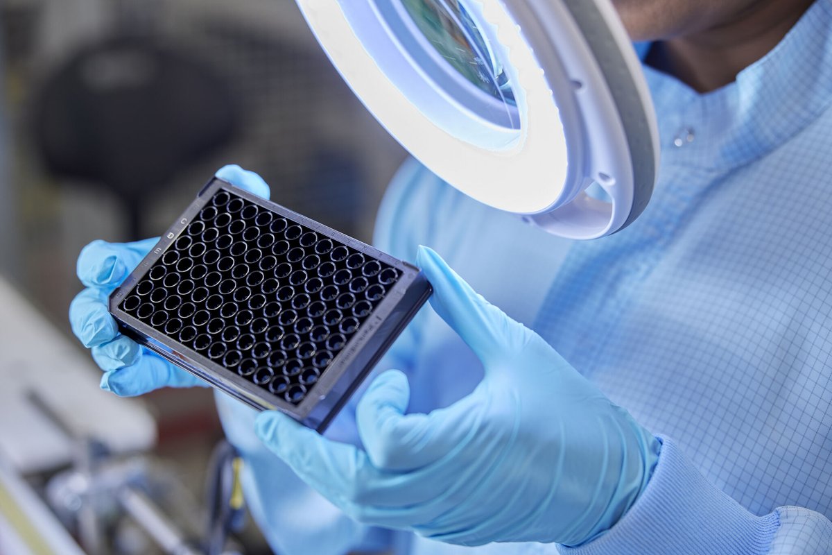 - Cleanroom Injection Molding: Standards for cleanliness.
- Advanced Medical Moulds: Efficiency with precision moulds.
- Process Automation: Meeting the highest quality.

Read more about this: bit.ly/48rMV8Z

#MedicalInnovation #PrecisionManufacturing #InjectionMoulding