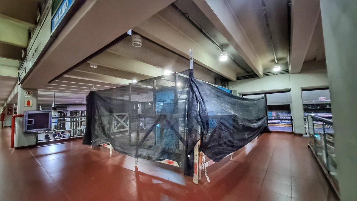 Karina Niebla tweet media