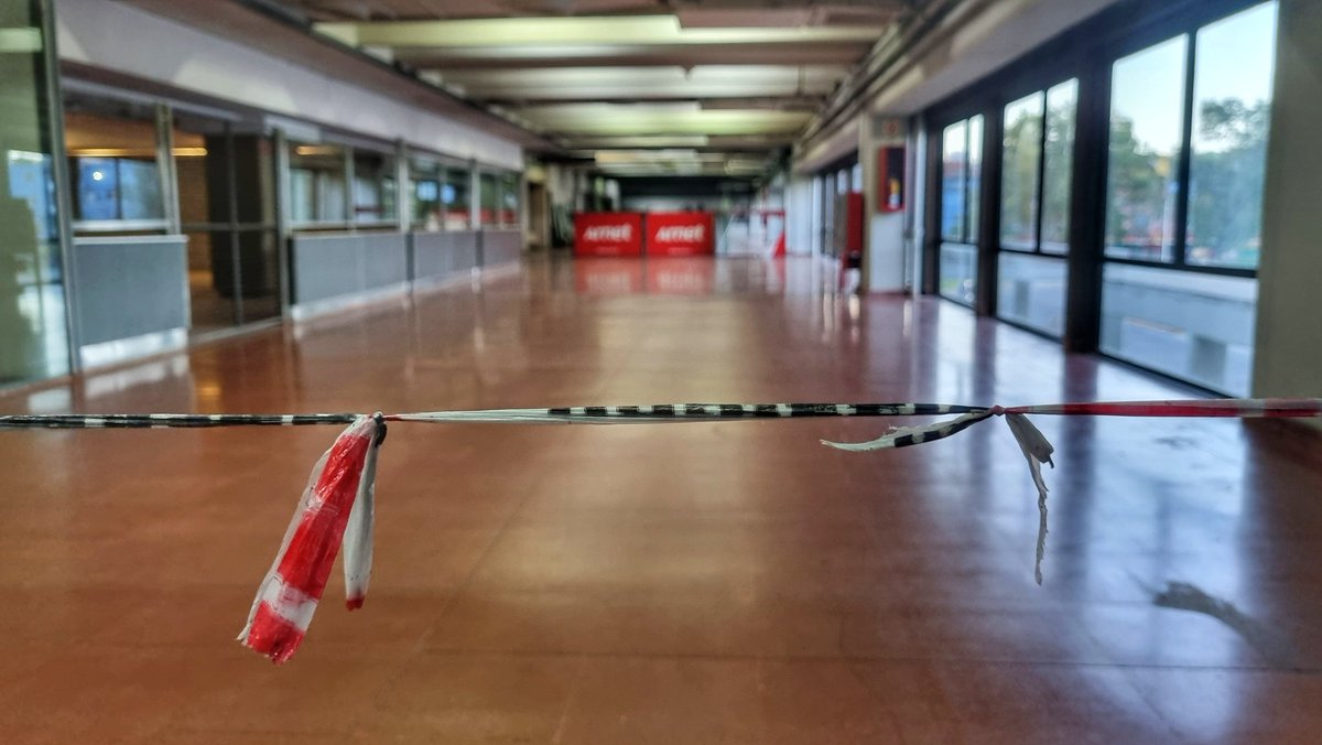 Karina Niebla tweet media