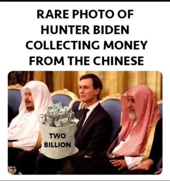 soft_science23's tweet image. 