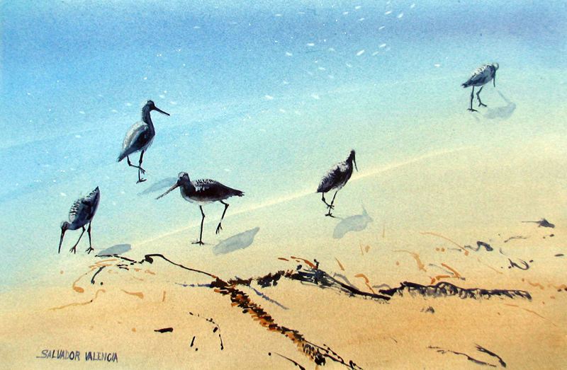 Salvador Valencia paints outdoors with watercolors to capture the true effects of color in sunlight and shade.

Sandpipers
watercolor 22 x 30

#beachy #sandpipers #watercolor #seascapes #blueandorange #lightandshadow #artgallery #contemporarywatercolor