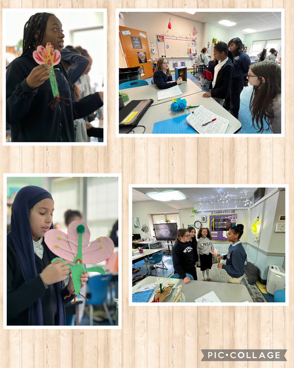 Courtney Cornwright tweet media