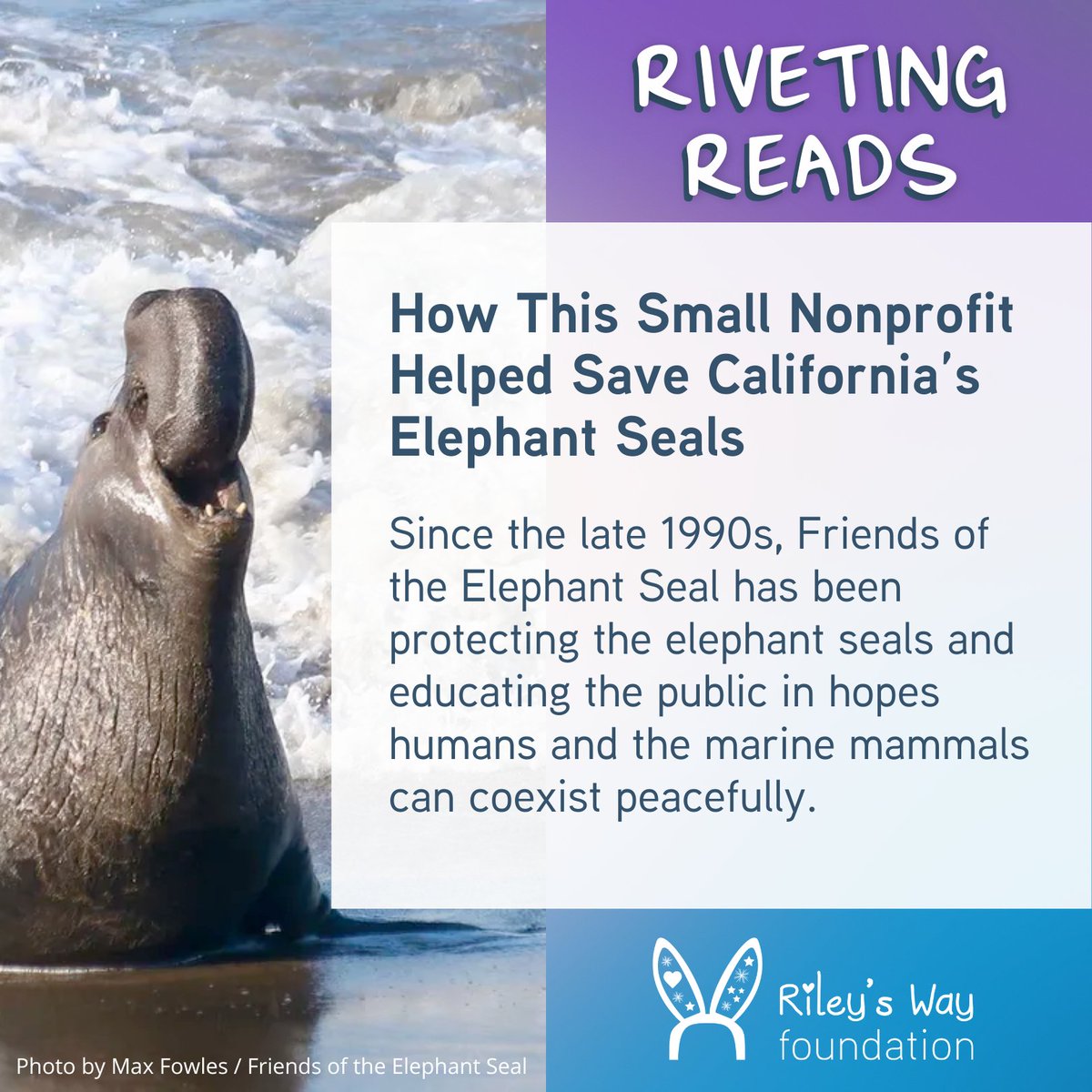 Riley's Way Foundation tweet media