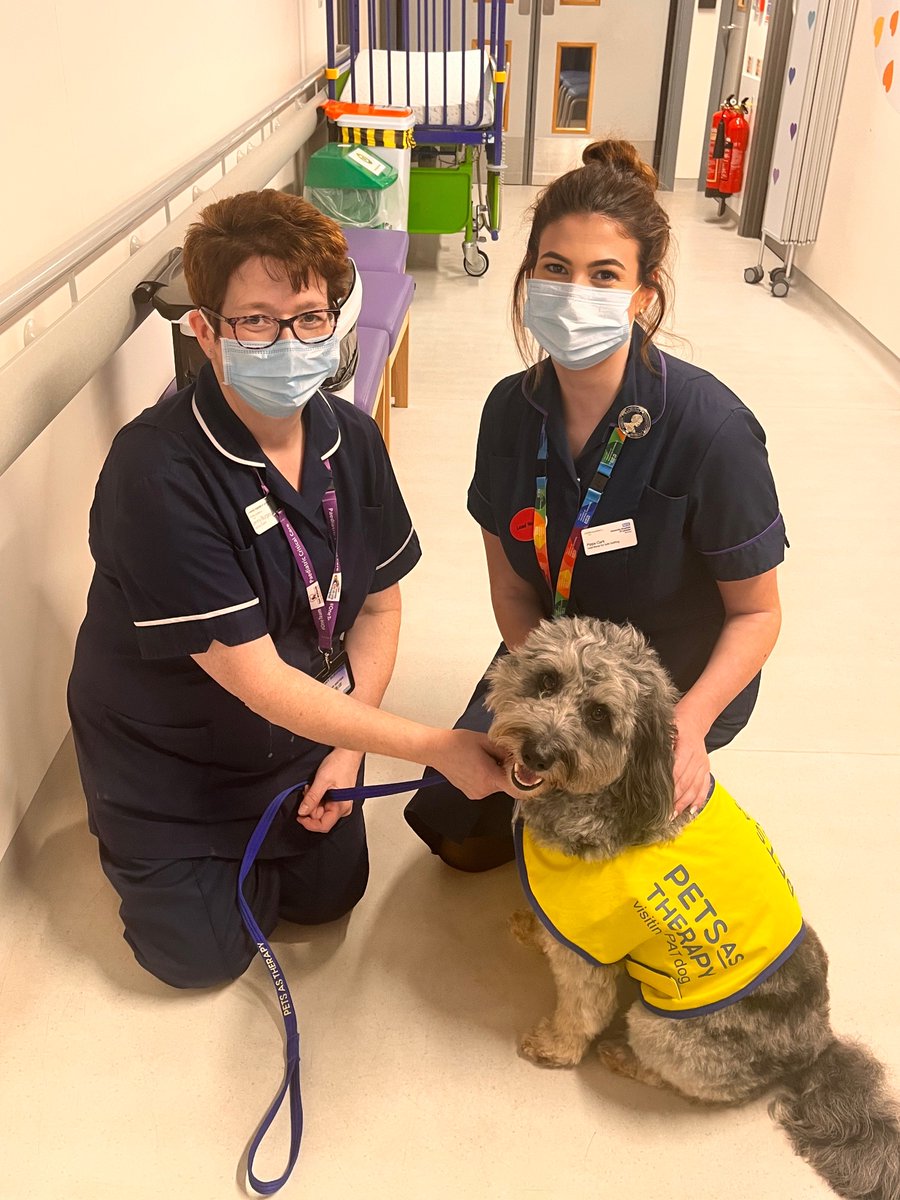 Smiles all around- Percy visiting patients, parents and staff at CPICU today 💙🐾 @Leic_hospital
