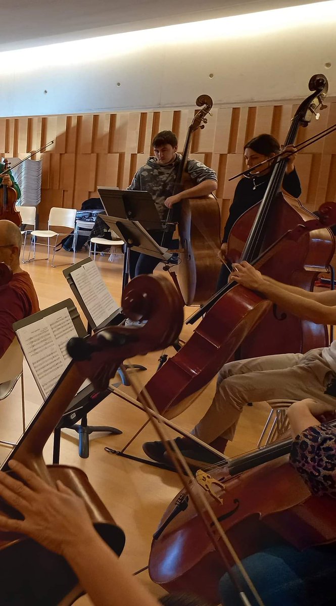 Orquestra de Girona tweet media