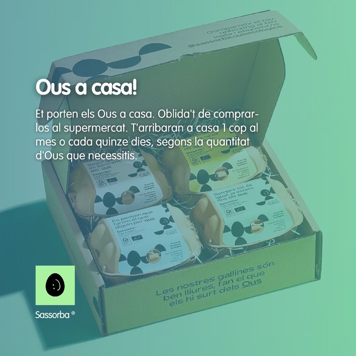 DiskoverApp's tweet photo. Troba restaurants amb uns bons #Ous!
Trobaràs tots els establiments i restaurants a l’usuari @sassorba.ousecologics
#Comerços #Diskover #Catalunya https://t.co/AciYiBSnzk