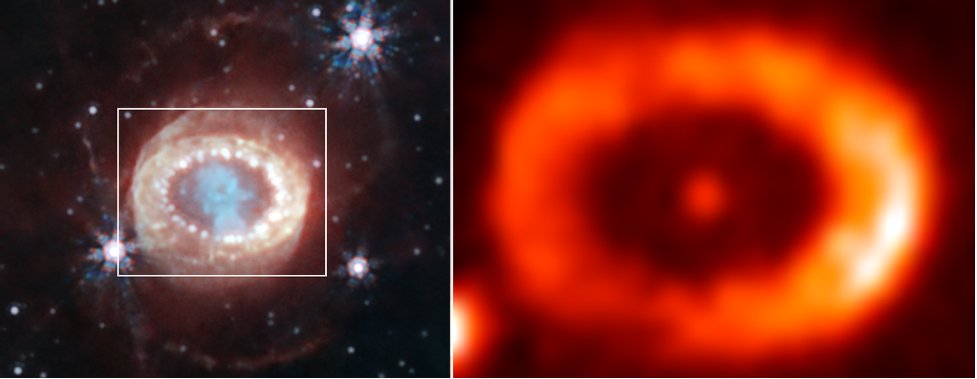 Almost 40 years ago, Supernova 1987A exploded onto the scene. Since then, astronomers have searched its remnant (in near-infrared at left) for a central compact object. New #NASAWebb data at right (mid-infrared) shows evidence of a neutron star: webbtelescope.pub/49IFMlO
