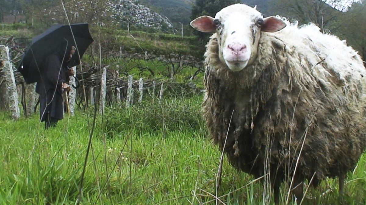 festivalmalaga's tweet image. 📹 Saturno de Daniel Tornero (España)
📹 La Caravana de Aitor Palacios y Núria Clavero (España, México)
📹 Salvaxe, salvaxe de Emilio Fonseca (España)
📹 Aurora de Area Erina (España)

#27FestivalMálaga