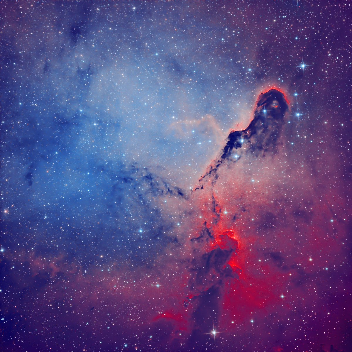 picastroapp's tweet photo. A bit of the Elephant trunk nebula. Haven’t shot this for a little while, but here’s a reworked version, because I have no other data at the moment!!! Come on Cloudholes, goooo away!!! #ASTROKIDX #astronomy #Astrophotography https://t.co/6fqcEZPbP4