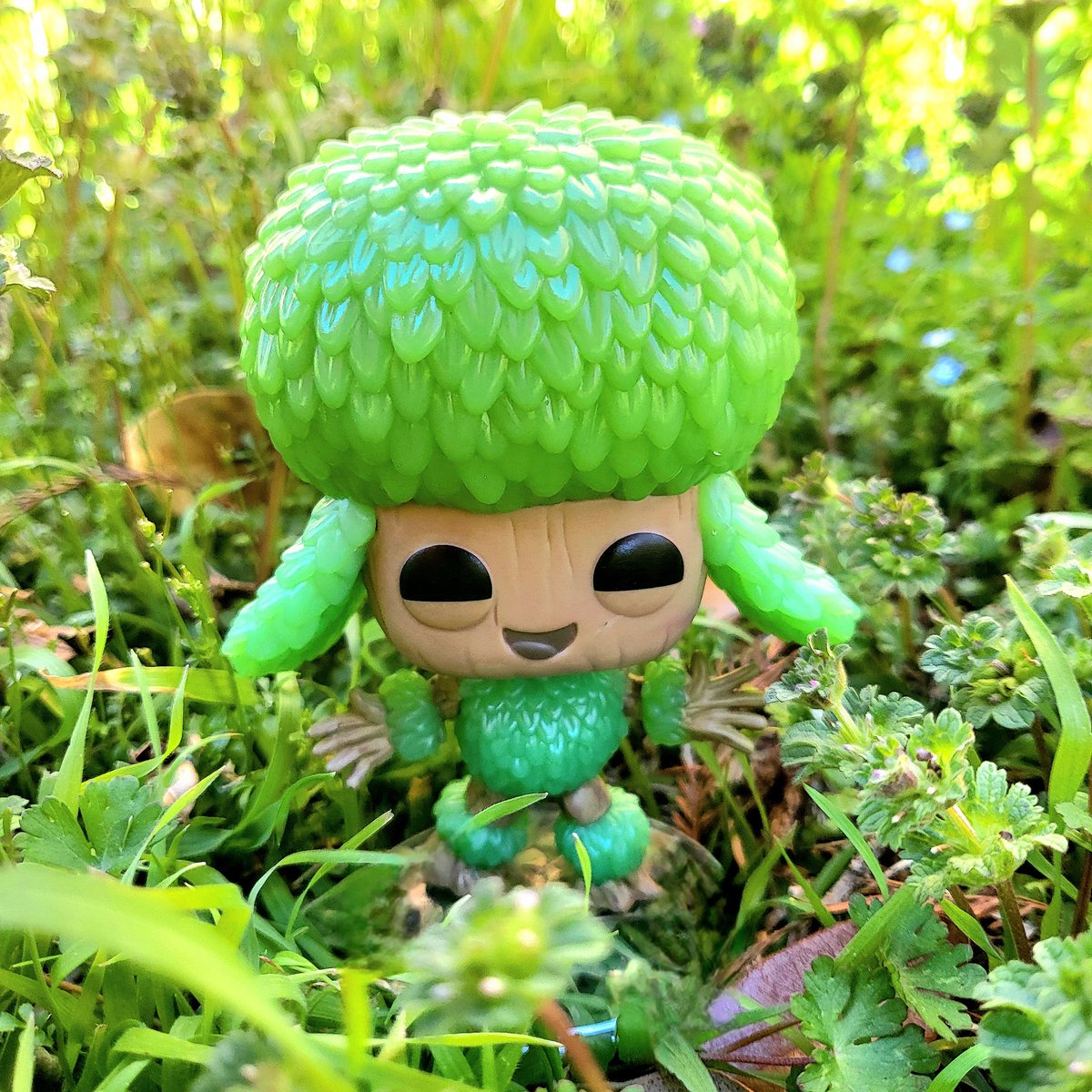 wise_lordship's tweet image. A Day on the Field
Hosted by @FunkoLeeM @dj3cb

Groot decided to play in the field this time.

#FunkoPhotoADayChallenge
#funaticsfunkophotoadaychallenge
#funkophotography #funkopopcollector #funkoFunatic #funkofantic #FunkoFamily #funko #FunkoSoda #funkophoto #FunkoFeb2024