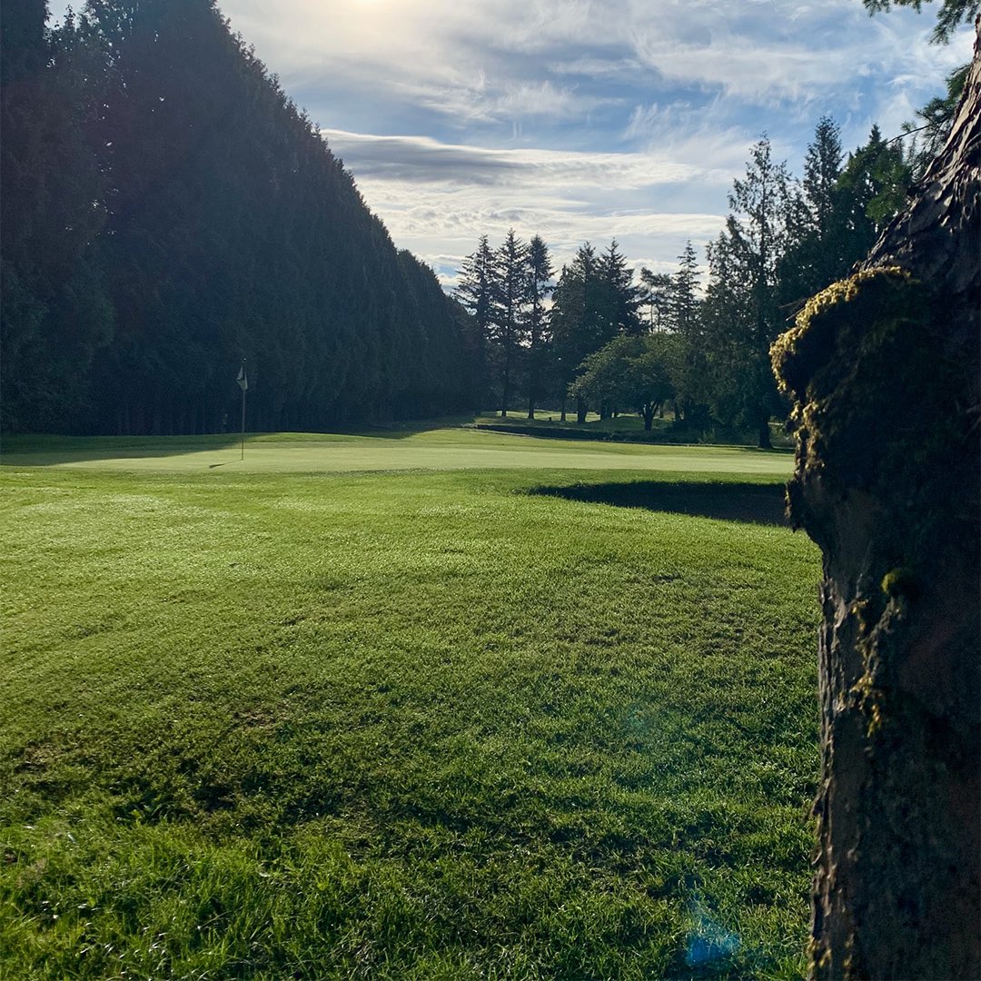 Do you do the dew? 

Winter and Spring golf come with the added challenges of waiting for the dew or, heaven forbid, frost to clear.

#dothedew #dew #wintergolf #earlyspring #pmgc #pittgolf #golfpittmeadows #pittmeadowsbc #bcgolf #pmgc2024 #courseiscalling #getoutandgolf