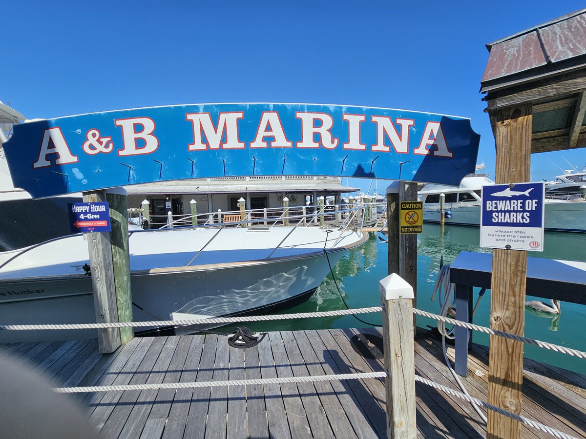 Enjoying a stroll at A&B Marina in Key West on this beautiful day! 🌞⛵ Don't forget to check out happy hour and watch out for those sharks! 🦈 Love the signs here! #KeyWest #ABMarina #HappyHour #SharkWatch #IslandLife #SharkWarning #KeyWestSeaport #HistoricHarborWalk #OldKeyWest