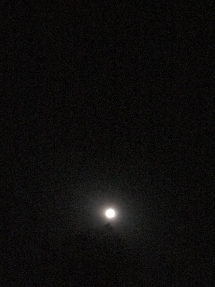 Lepariyo's tweet photo. @Int_Machines @NASA @NASAMoon @UN @KamalaHarris @Space_Station @Celestron @NASAEarth SHAPING The Future: #DiscoverWithLepariyo THURSDAY, 22 February 2024 #Kenya! Today, as  @NASA @Int_Machines anticipates for success landing of #IM-1 on the #Moon South Pole, I am ROOTING 87% accuracy! 

20:33 EAT: Photos of the moment: the #Moon in eastern sky. Credit: @Lepariyo https://t.co/SEdX2WtOi4