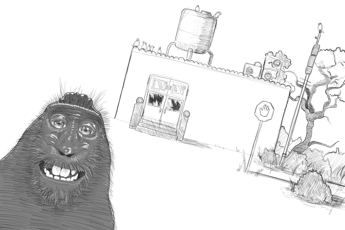 666_zaius's tweet photo. #monkey https://t.co/gNQ6qiqENs