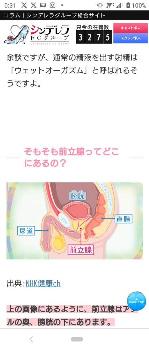 L2wWm's tweet photo. 最初はアナルを舌の根本まで入れかき混ぜるように優しく舐めてくれ同時にペニスもシゴイてくれてもうたまらなく気持ちが良い女性のように声が出てしまいます!
今はお互いひと指し指を根本まで入れて矢出し入れしながら
前立腺を探してます。
中々､図のように分かりませんが
腰がガクガクになります🤭 https://t.co/XFrwdliMKN