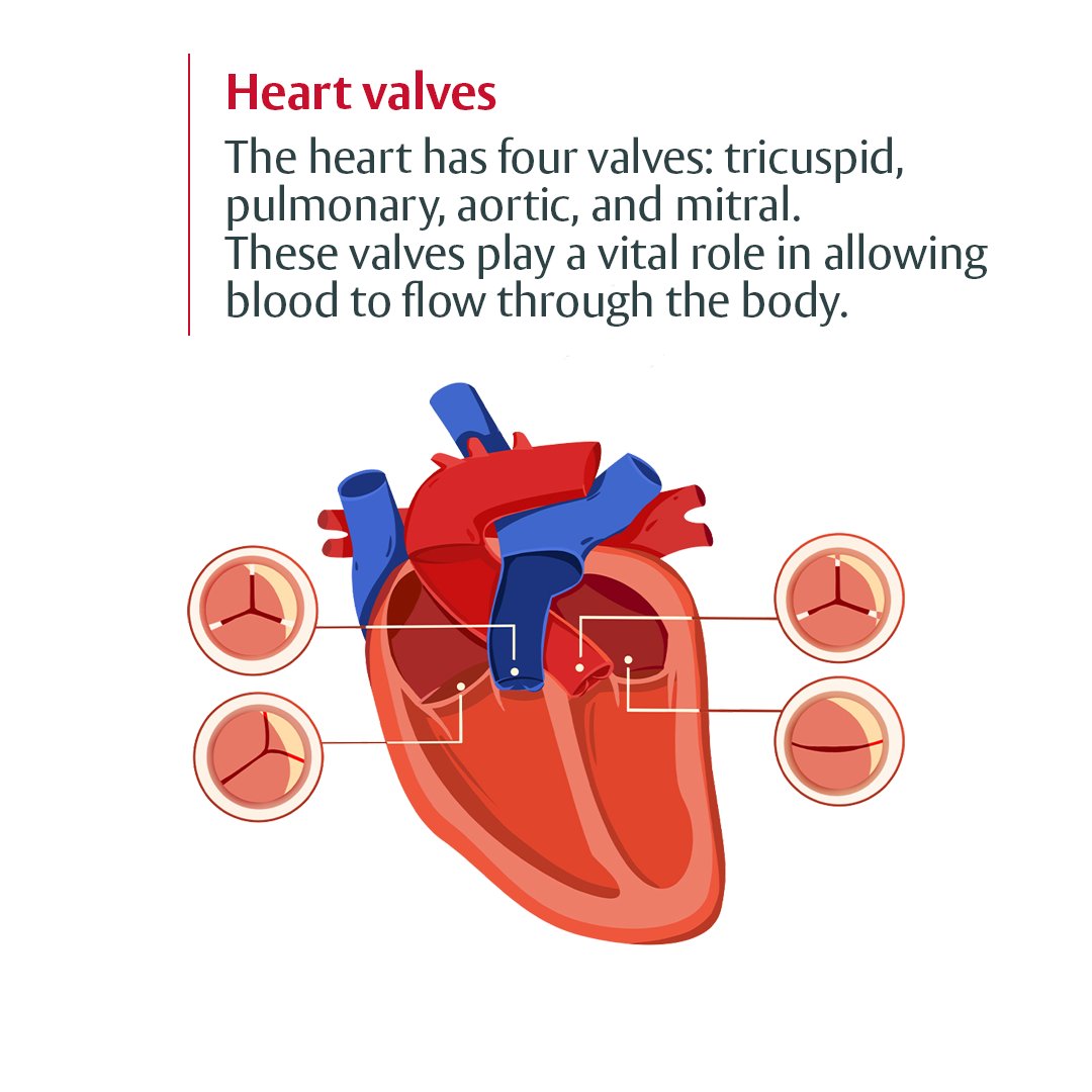 🫀 Today is #ValveDiseaseDay 📅
#HeartValveDisease can be life-threatening and lead to a poor quality of life if not treated in a timely manner.

Symptoms usually develop gradually, and patients often adapt their lifestyle in response — or simply mistake their symptoms as being…