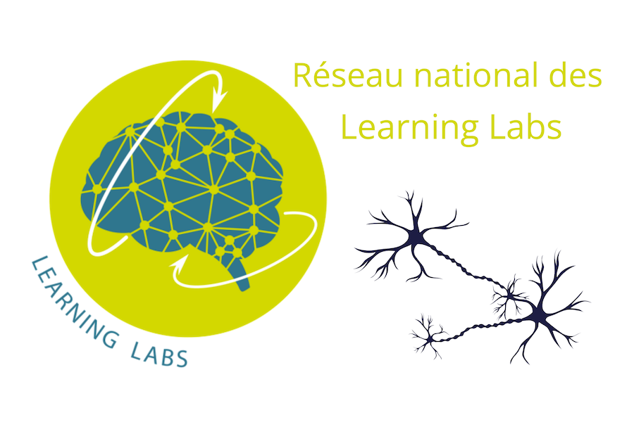 ianGuyaneSVT's tweet photo. Sur le site #SVT de l'Académie de Guyane, un article présentant le Réseau national des #LearningLabs !
👉https://t.co/aI2pKD4rN4
Le collège Lise Ophion de Matoury est le premier établissement de l'@acguyane à rejoindre le réseau !
La #masterclass 2024 à destination des élèves et des professeurs, intitulée : « TikTok, Instagram et YouTube, c’est quoi le problème pour nos cerveaux ? » (par Grégoire Borst) sera enregistrée et pourra prochainement être mise à disposition !
D'ici là, n'hésitez pas à inscrire vos classes pour participer au concours de #slogans à propos des #écrans proposé par le réseau (lien d'inscription dans l'article).
@R_LearningLabs @Semaine_Cerveau @lapsyde