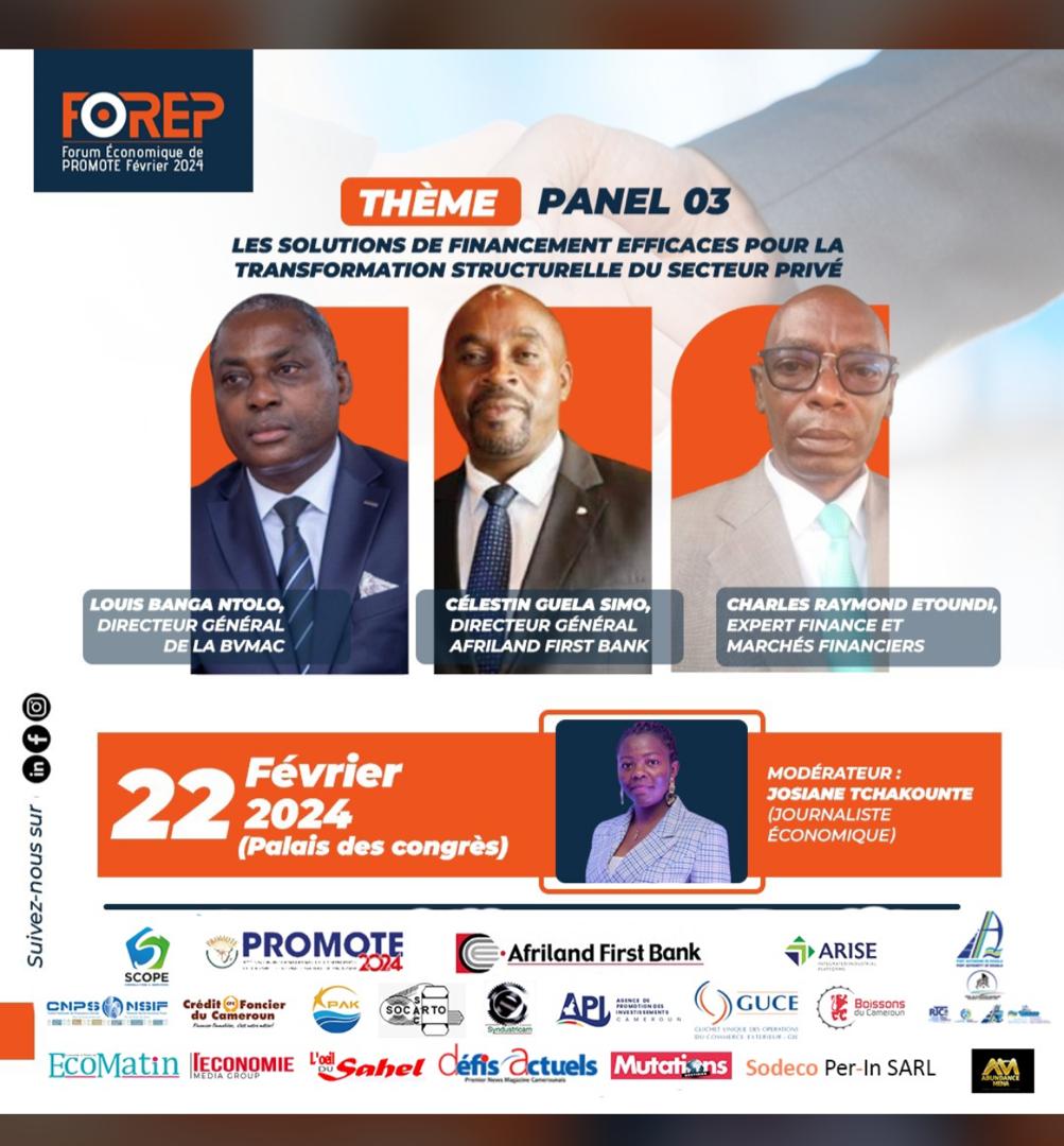 La transformation structurelle de l'#Economie nécessite des ressources financières de #qualité.  Elles existent. Le Grand forum économique de Promote a livré ce jour ce qui pourrait être le mix financier le plus adapté pour le secteur privé du #CMR. 
#forep
#PROMOTE2024