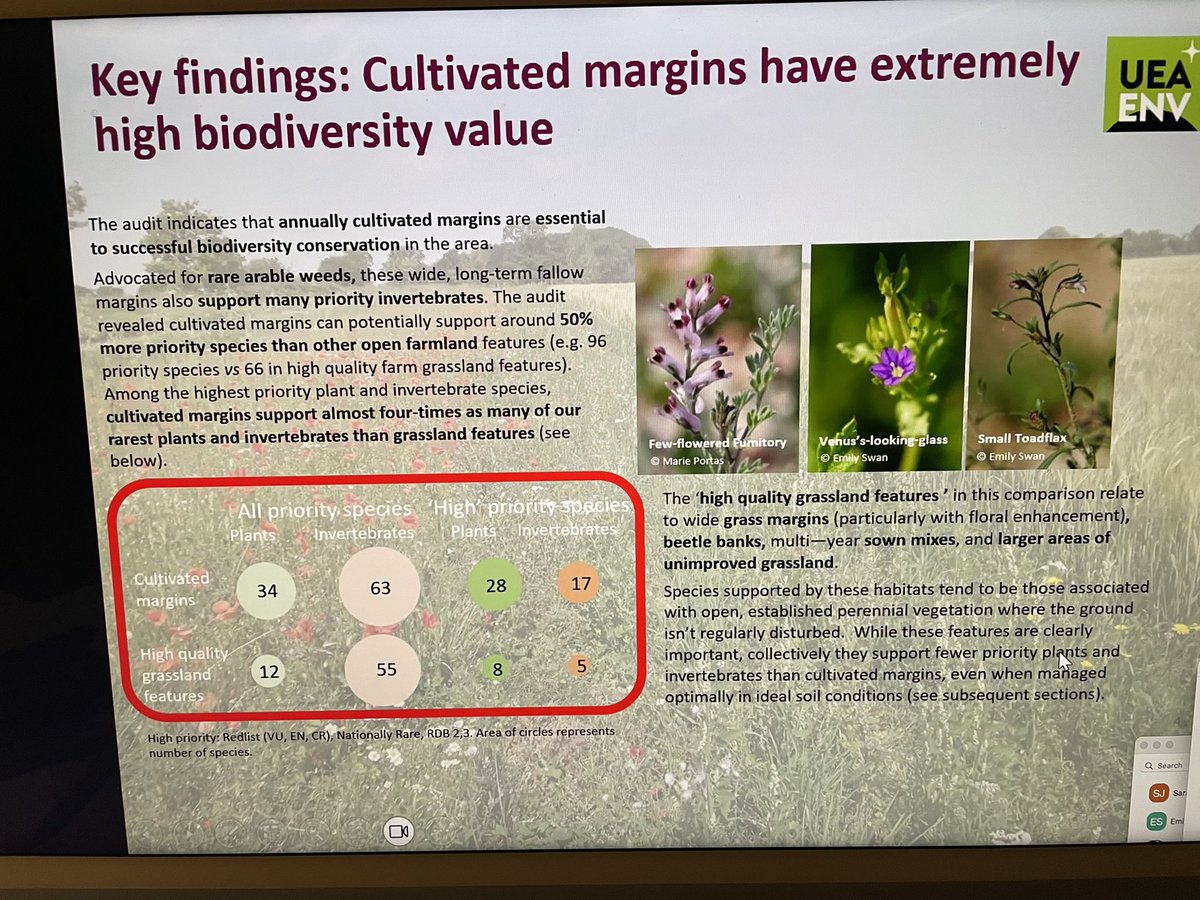 Currently listening to @arableplants giving a fascinating and informative talk about the value of cultivated margins. Also loads of advice on management of margins - great, very useful session.