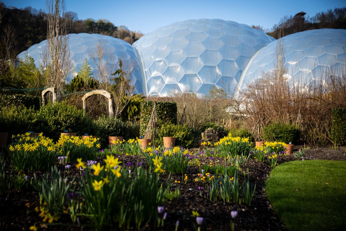 Tickets now on sale from 29 March and beyond 💫 including Easter, May half-term, spring suppers in the Mediterranean Biome and more! Plan your next visit and see what’s on 👉 edenproject.com/whats-on