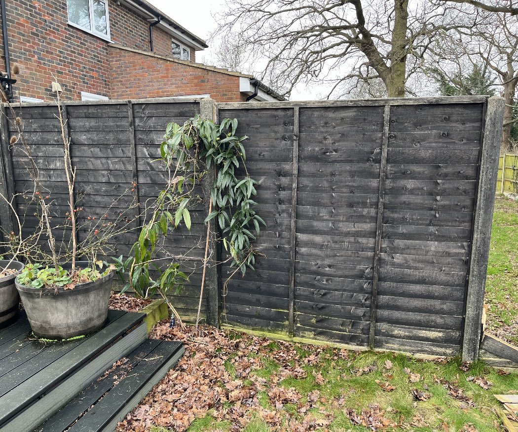 ABCFencingLtd's tweet photo. Before and After #residential #garden fence transformation! After is been damage by the storm. The forecast shows more wind and rain on its way!💨

From overlap panel #fence to the Closeboard fence panel!

For more projects visit our website
https://t.co/jXCwYkVNZO
#stalbans https://t.co/tsSmmbpgfX