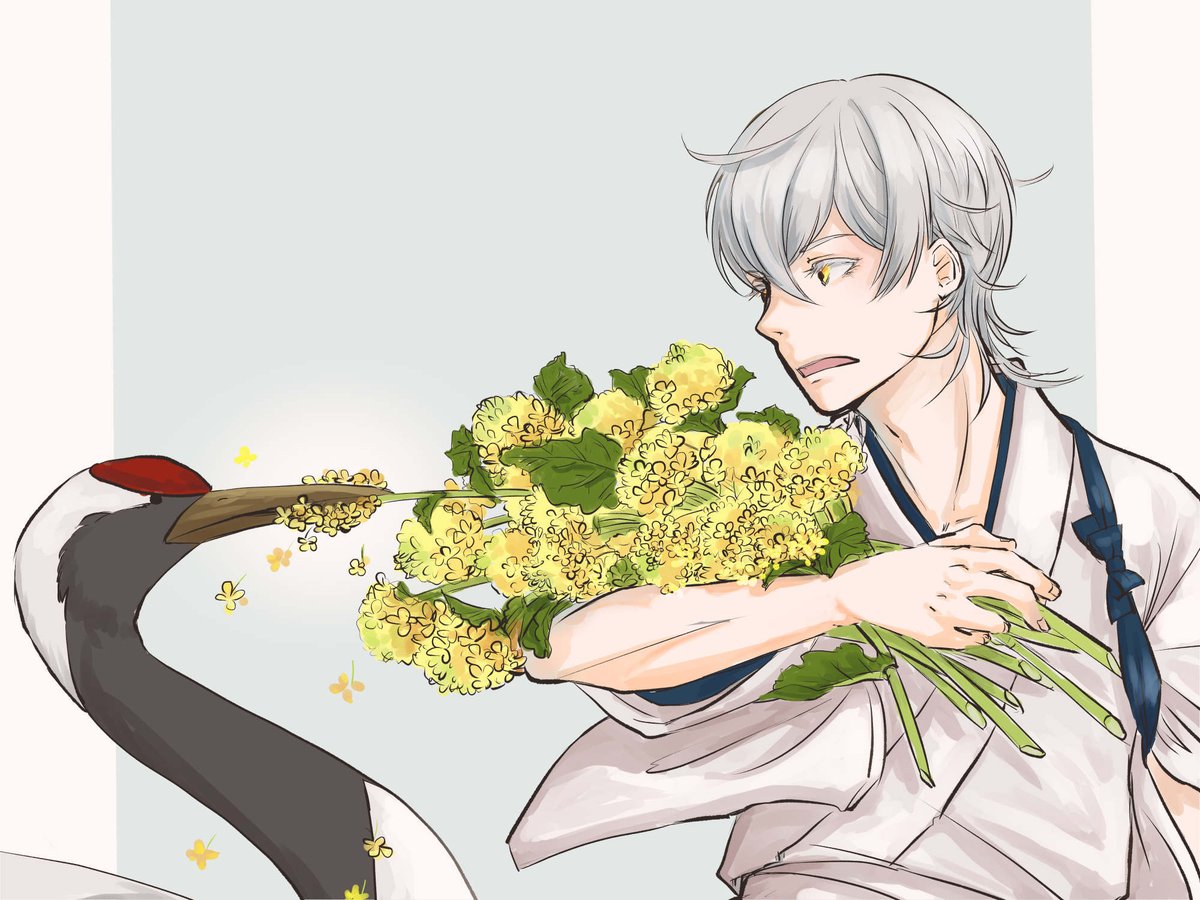 鶴丸国永(刀剣乱舞) 「おいしい菜の花」|だんご33号☕️のイラスト