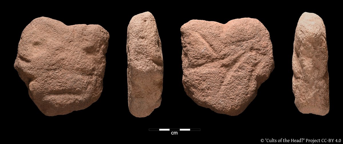 Head 39. 
Sometimes our heads are really easy to decipher...and sometimes they really just aren't! We also have heads which have more abstract markings. Hopefully RTI can help us make sense of them.
#FindsFriday