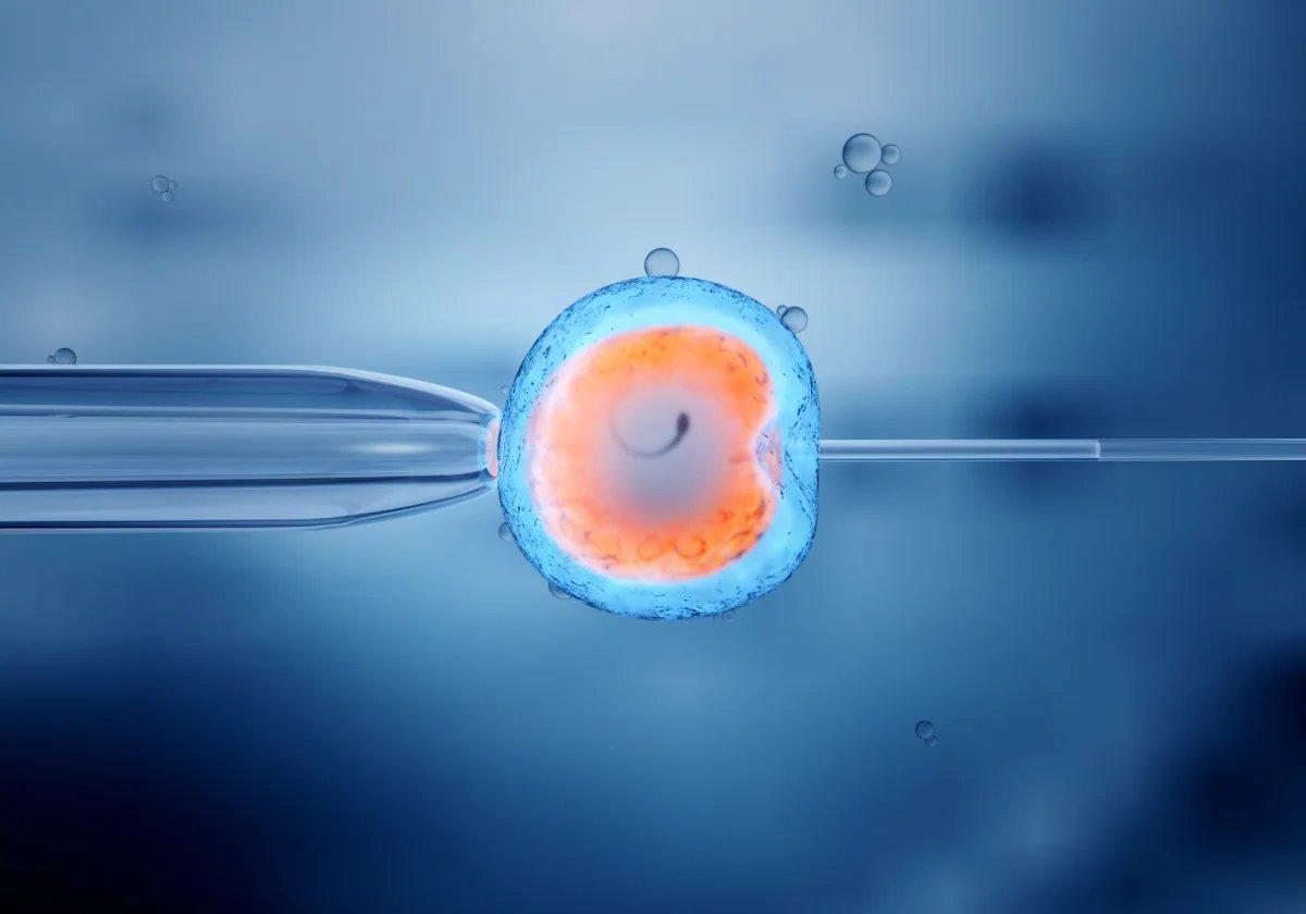 😉 Photo below is Pat a frozen embryo. At the age of 1 day Pat the frozen embryo became a person in the state of Alabama. Pat will be declared a tax dependent of its parents who will be paying to care for Pat the frozen embryo until the age of 18. Pat the frozen embryo parents