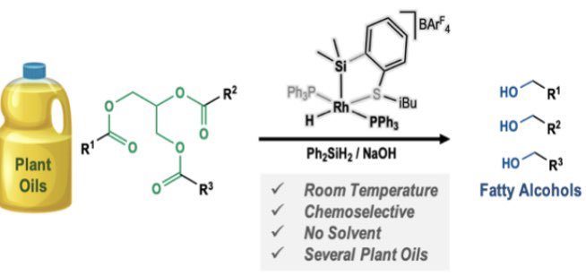 Amit Kumar (@amitsta1) on Twitter photo This paper can explain why i have a collection of plant oils in my office. Pleased to see this paper finally out in <a href="/RSC_Sus/">RSC Sustainability</a> in collaboration with <a href="/HuertosChemLab/">Miguel Huertos</a> and <a href="/freixasgroup/">Freixa's Group</a>. Huge congratulations to <a href="/unaiprt/">Unai Prieto Pascual</a> & Itxaso. See here 👉pubs.rsc.org/en/content/art…. This paper can explain why i have a collection of plant oils in my office. Pleased to see this paper finally out in <a href="/RSC_Sus/">RSC Sustainability</a> in collaboration with <a href="/HuertosChemLab/">Miguel Huertos</a> and <a href="/freixasgroup/">Freixa's Group</a>. Huge congratulations to <a href="/unaiprt/">Unai Prieto Pascual</a> & Itxaso. See here 👉pubs.rsc.org/en/content/art….
