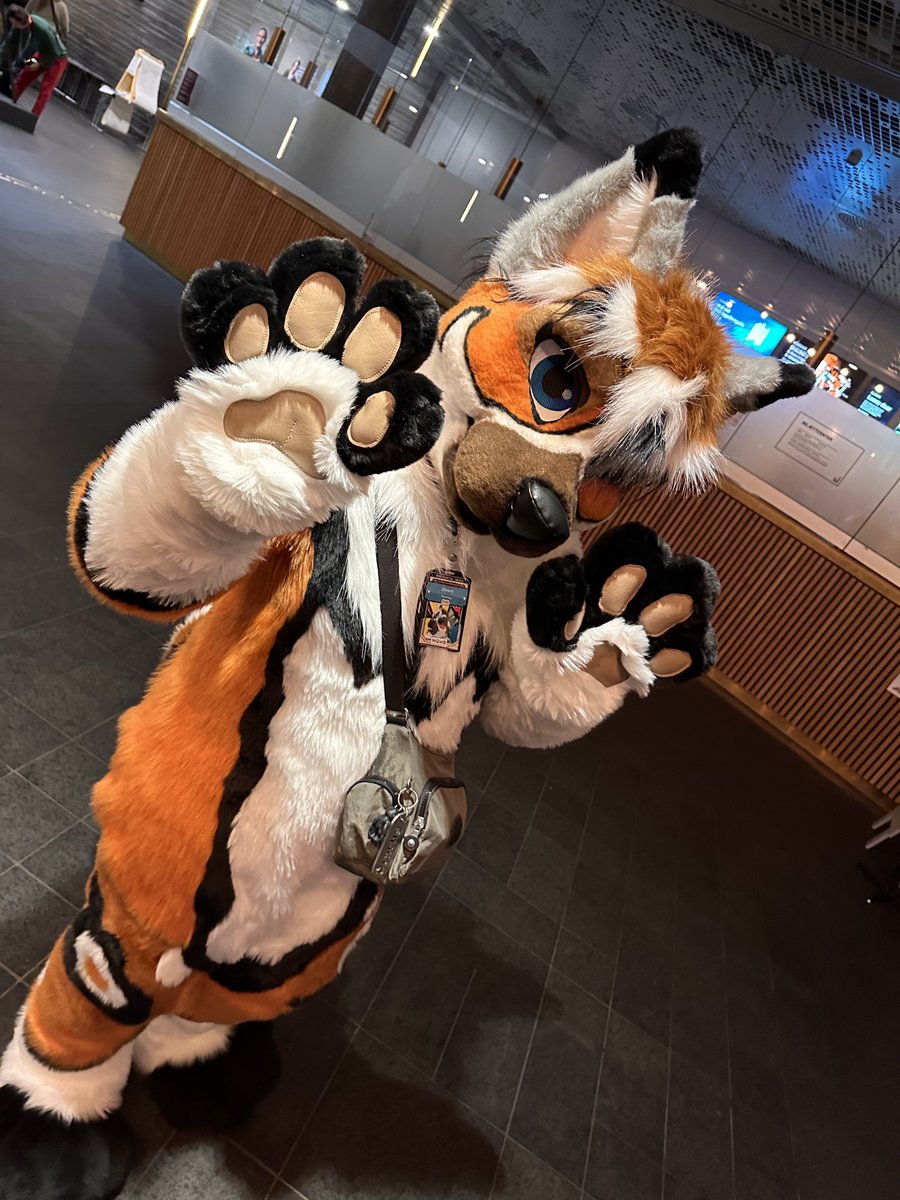 KyotoFox tweet picture