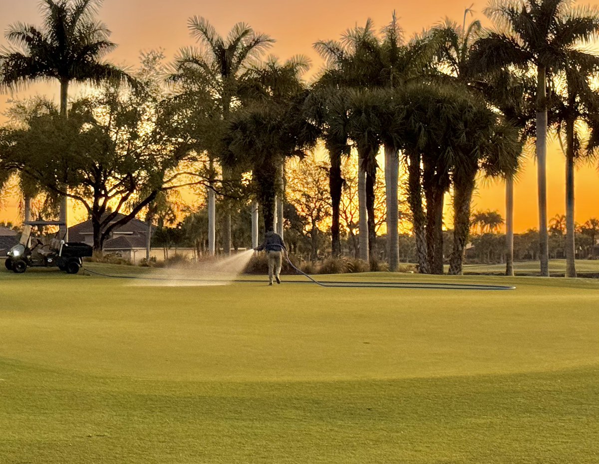 Plenty of sunshine in SWFL this week. Nice to have some good growing weather again!