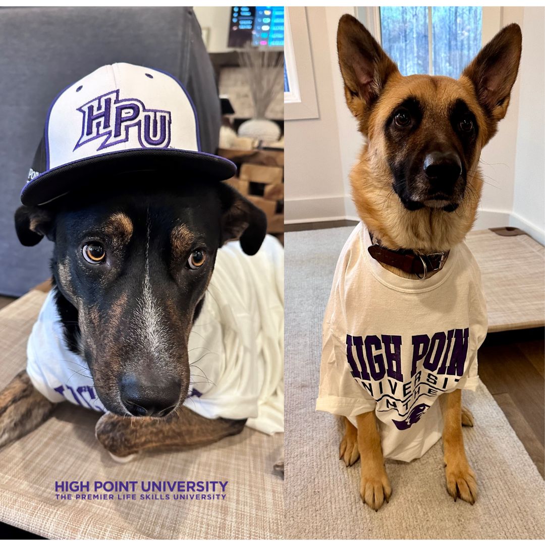 Check out these rowdy rescues! Ruger and Ranger are decked out in their HPU swag. 

Do you want your furry friends featured on the HPU Alumni socials? DM us their picture, name, and some Panther Pets Pride to give them a moment in the spotlight! 🐶🐱 

#PantherPets #HPUAlumni ...