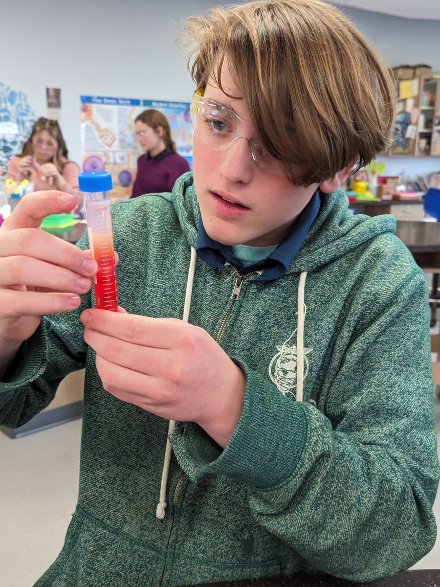 Today we extracted DNA from strawberries and ourselves to learn how scientists extract DNA for analysis. #Biotechnology #ourBMSA #OAISS