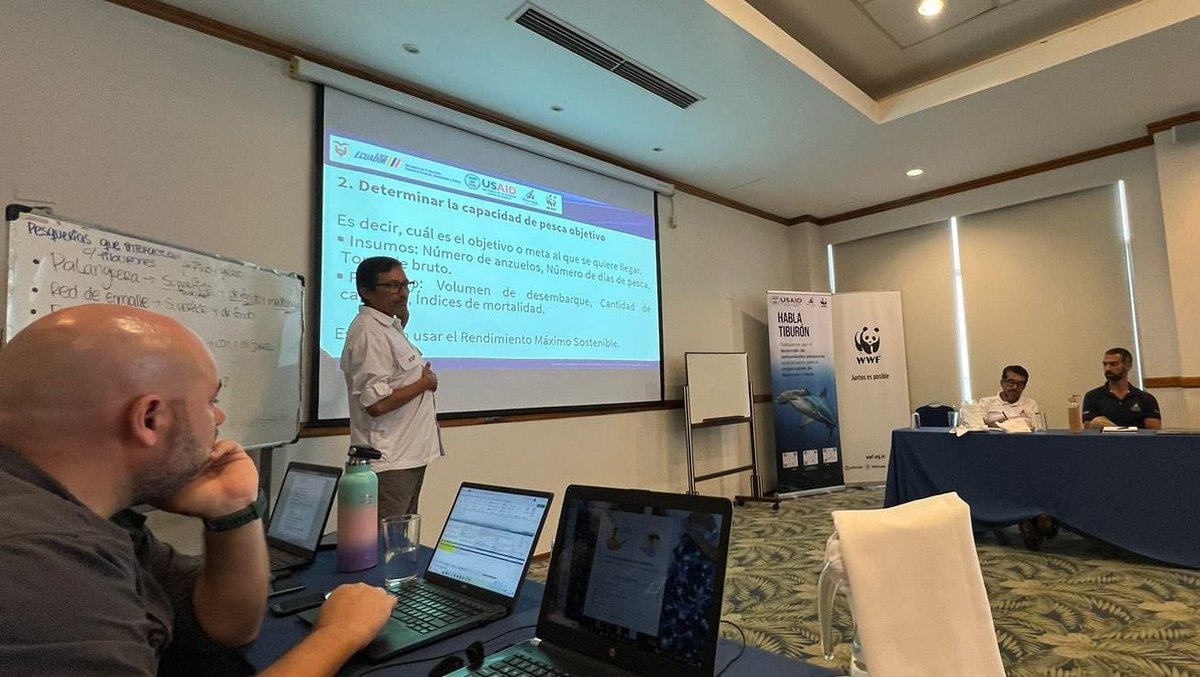 Produccion_Ecu's tweet photo. 📌Manta | Técnicos de @Produccion_Ecu participaron en el taller: métodos efectivos para determinar la capacidad de pesca en pesquerías que interactúan con tiburones; dentro del proyecto Habla Tiburón. El mismo fue dictado por científicos de la @DarwinFound, con apoyo de @WWF.🇪🇨🦈 https://t.co/tLvmxXMuvQ
