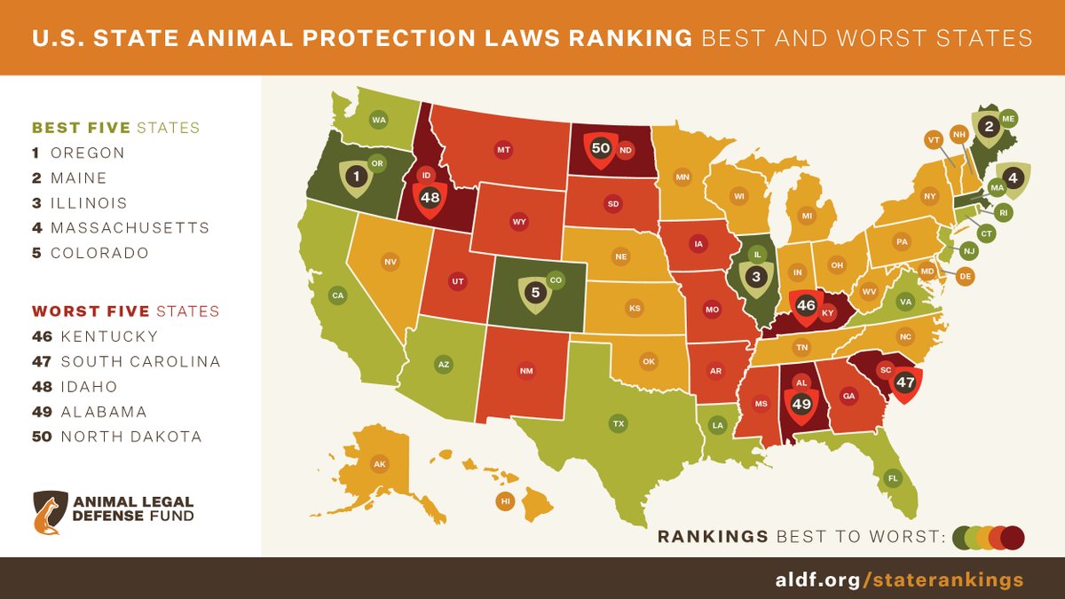 The 2023 State Rankings are out! Every year, we release a comprehensive report ranking the animal protection laws of all 50 states. This year, Oregon took the top spot while North Dakota ranked last. 🐶🐻🐭

Are you surprised where your state ranked?  aldf.org/staterankings