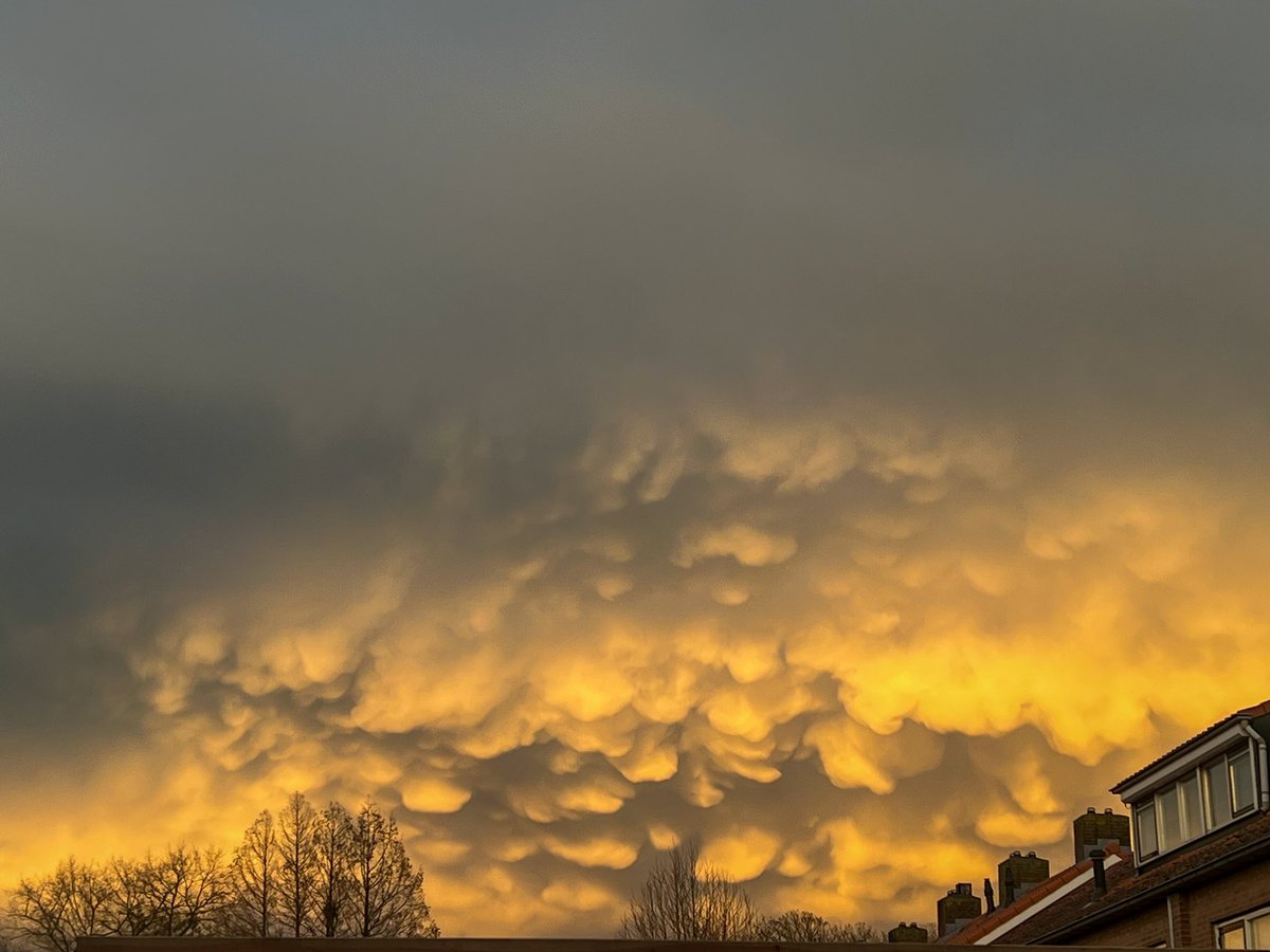 Mammutus #stormLouis