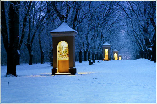 Winter's Night, Vac, Hungary #Winter'sNight #Vac #Hungary kellyolson.com