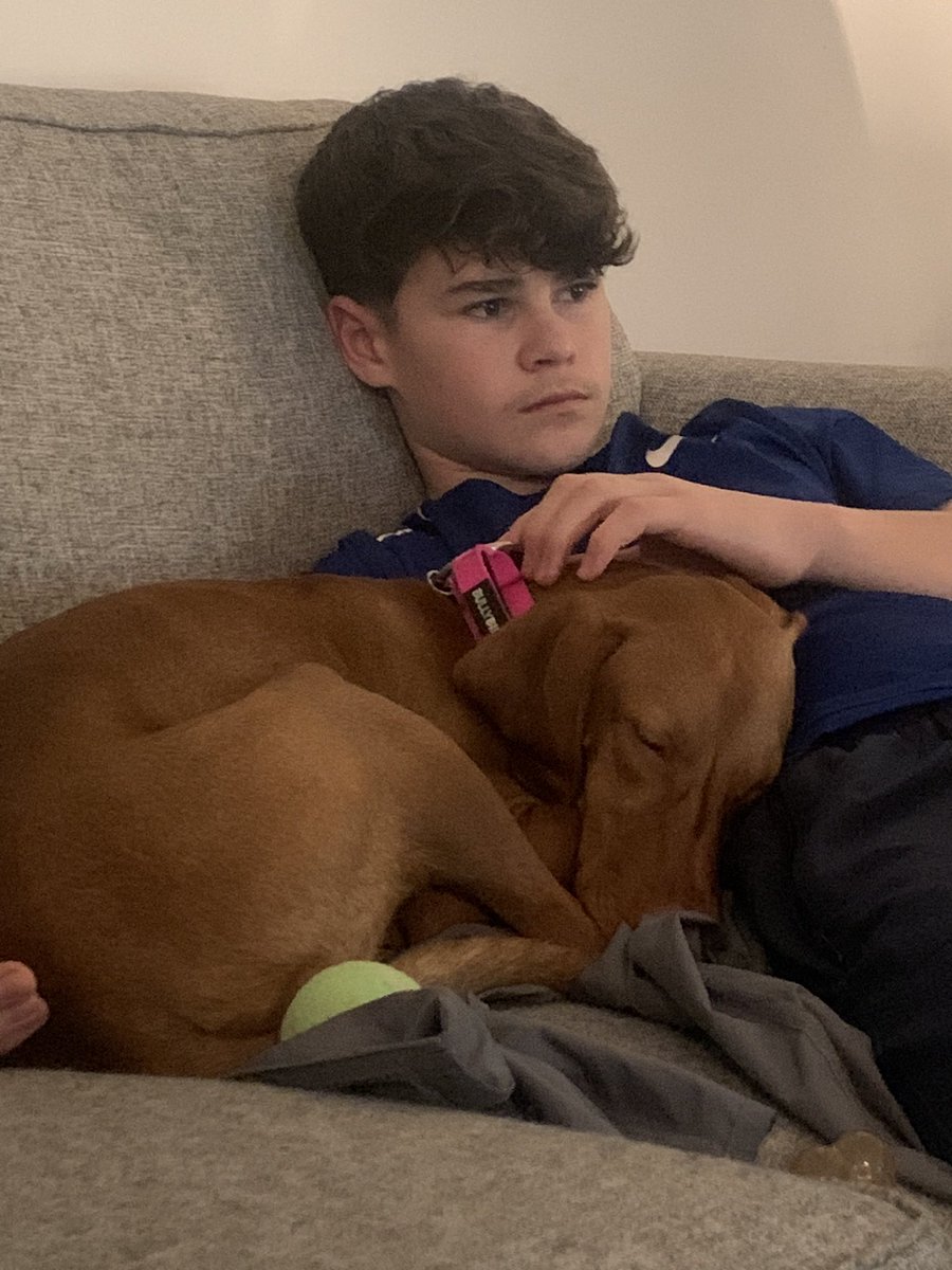 Michelle Harrison tweet media