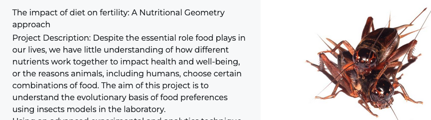 Shinichi Nakagawa | 中川震一 tweet media